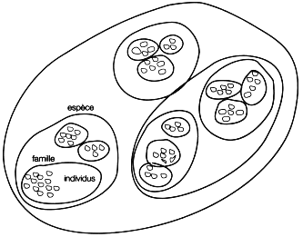 Figure 18 : l'organisation du vivant