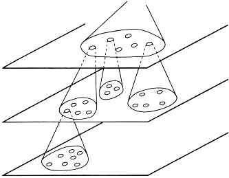 Figure 10: la superposition des plans de d�veloppement